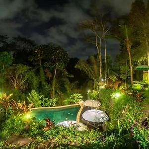 the-jungle-villa.ubudhotelsnow.com/